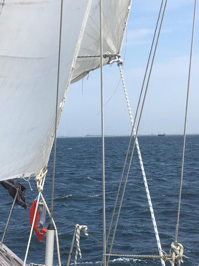 Stay Only Or Sailaway With Friends And Family Have More Fun Медемблік Екстер'єр фото